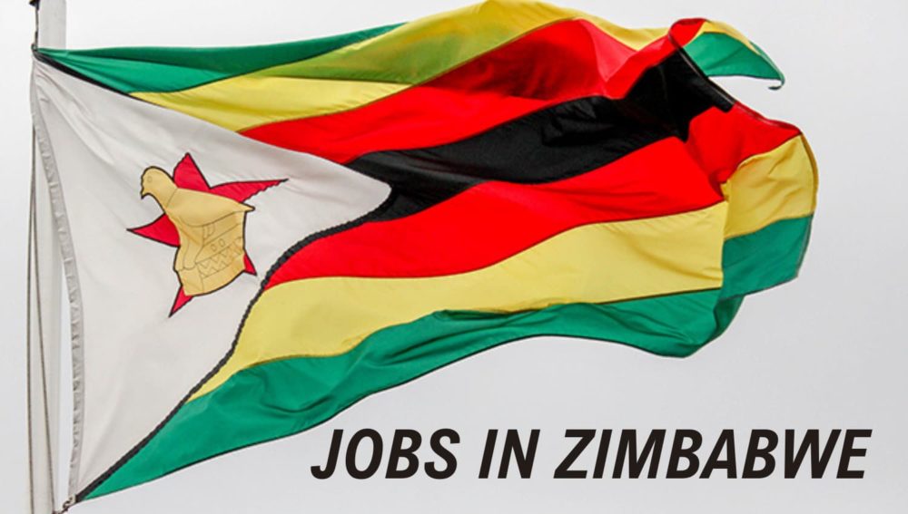 Zimbabwe Skill Shortage Jobs